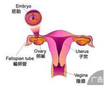 输卵管堵塞有哪些症状