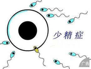 少精症能生孩子吗