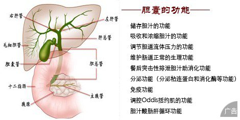 得了胆结石很严重吗